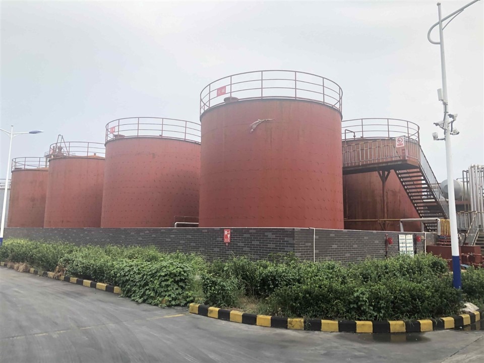 RHODAMINE B CAS NO: 81-88-9 best